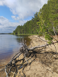Сплав по реке Суна на байдарках