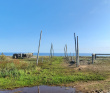 Аметистовый берег Белого моря