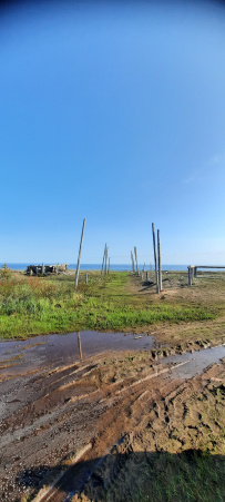 Аметистовый берег Белого моря