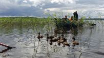 Водное ассорти с детьми: на лодках, байдарках, сапах