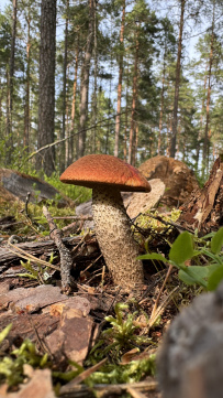 Тур Ладожские шхеры на каяках