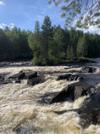 Сплав по реке Кереть и Белое море