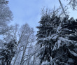 Snow Camp на Игоре с тёплым домом и баней