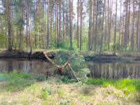 Сплав на байдарках по реке Нерская с баней на берегу и автосопровождением