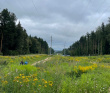 Хлюпай из Хлюпино
