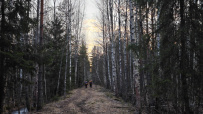 Пеший поход «Край покинутых деревень»