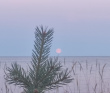 Белое море на морских каяках: Терский берег