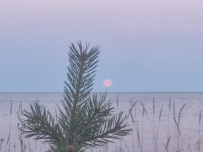 Белое море на морских каяках: Терский берег