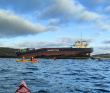Среди скал и волн Баренцева моря на морских каяках. Териберка — Кильдин — Ура-Губа