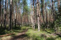 Пеший поход в Каннельярви