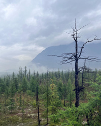 Под полярным небом плато Путорана