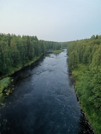 Сплав по реке Воньга и Белое Море на байдарках