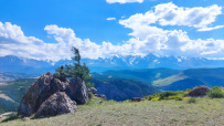 Горный лагерь в Актру (проживание в домиках)