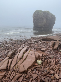 Аметистовый берег Белого моря