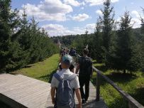 Однодневный пеший поход «Гремячий ключ» (Подмосковье)