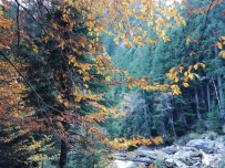 Горный лагерь в Домбае [Кавказ]