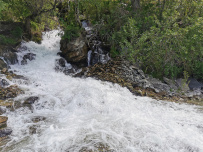 Сплав по реке Катунь