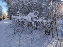 Лыжный поход в Рускеалу