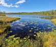 Колвица на морских каяках (байдарках). Путешествие на землю Саамов