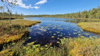 Колвица на морских каяках (байдарках). Путешествие на землю Саамов