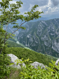 Великий горный край: природа западной Сербии (треккинг-тур в национальный парк Тара)