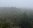 Аметистовый берег Белого моря
