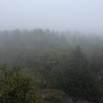 Аметистовый берег Белого моря
