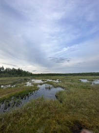 Велопоход в арт-парк Никола-Ленивец