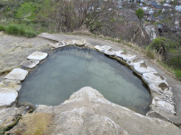 Пятигорский перевал (программа с размещением в старинном купеческом особняке XIX в.)