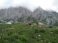 Легендарная Тридцатка - маршрут к горе Фишт (Большой Кавказский Заповедник)