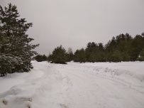 Лыжный поход через Мещёру с ночевкой в тёплом доме