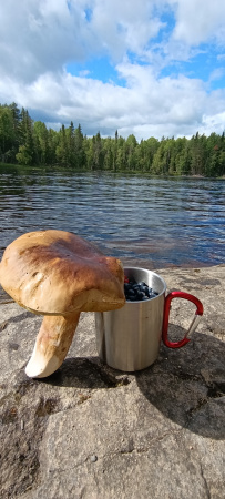 Сплав по реке Пистайоки (Писта)