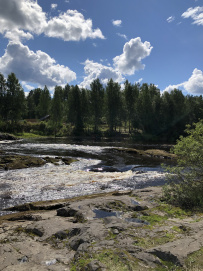 Сплав по реке Шуя