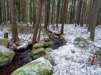 Пеший поход к Зеленодольским озерам