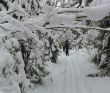 Лыжный поход - Легендарная ГАБОвская народная лыжня
