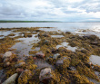 Белое море на морских каяках (байдарках): Карельский берег