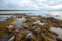 Белое море на морских каяках (байдарках): Карельский берег