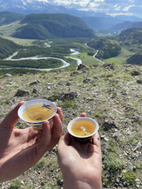Горный лагерь в Актру (проживание в домиках)