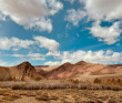 Всё и сразу на Алтае