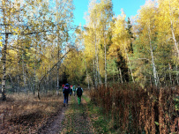 Красоты Мещёры с ночёвкой в тёплом доме (пеший поход)