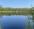 Экстрим-поход «По лесам и болотам к озеру Окунёк» (Владимирская область)