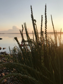 Сплав по реке Кереть и Белое море
