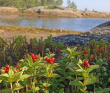 Сплав по реке Воньга и Белое Море на байдарках