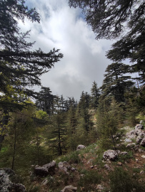 По Ликийской тропе через горы к морю (классический пеший поход)