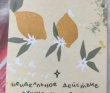 Сотка за сутки