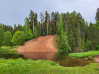 Трекинг по Оредежским берегам