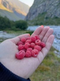 Горный лагерь в Безенги