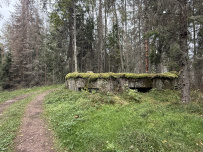 Далекий финский берег