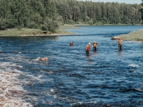 Сплав по реке Шуя