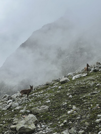 Горный лагерь в Безенги